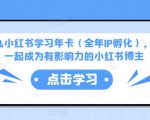 厦九九小红书学习年卡(全年IP孵化),沉浸式学习,一起成为有影响力的小红书博主-网赚36计
