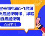 大圣淘宝天猫电商1-7层级盈利增长底层逻辑课，爆款的底层逻辑-网赚36计