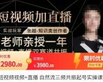 张越·短视频+直播，自然流三频共振起号实操课，​短视频所有流量玩法讲解-网赚36计