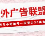 外面收费1980的最新国外LEAD广告联盟搬砖项目，单号一天至少30美金【详细玩法教程】-网赚36计