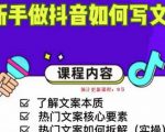 新手做抖音如何写文案，手把手实操如何拆解热门文案-网赚36计