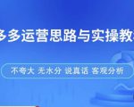 拼多多店铺运营思路与实操教程，快速学会拼多多开店和运营，少踩坑，多盈利-网赚36计