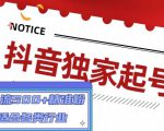 抖音独家起号，一天引流500+精准粉，适合各类行业（9节视频课）-网赚36计