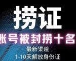 2023年最新抖音八大技术，一证多实名，秒注销，断抖破投流，永久捞证，钱包注销，跳人脸识别，蓝V多实-网赚36计