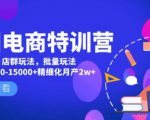 美团电商特训营：美团·店群玩法，无脑铺货月产出6000-15000+精细化月产2w+-网赚36计