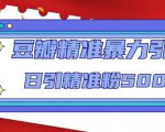 豆瓣精准暴力引流,日引精准粉500+【12课时】-网赚36计