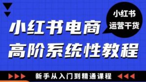 小红书电商高阶系统教程，新手从入门到精通系统课-网赚36计