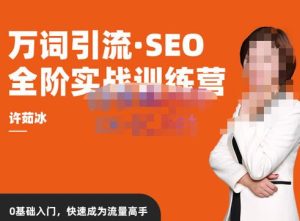 许茹冰·万词引流-SEO全阶实战训练营，0基础入门，快速成为流量高手-网赚36计