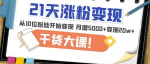 21天精准涨粉变现干货大课：从10位粉丝开始变现月增5000+变现20w+-网赚36计