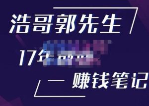 浩哥郭先生17年创业赚米笔记，打开你对很多东西的认知，让你知道原来赚钱或创业不单单是发力就行-网赚36计