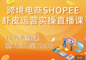 跨境电商Shopee虾皮运营实操直播课,从零开始学,入门到精通(10节系统课)-网赚36计