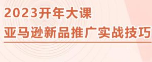 2023亚马逊新品推广实战技巧，线下百万美金课程的精简版，简单粗暴可复制，实操性强的推广手段-网赚36计