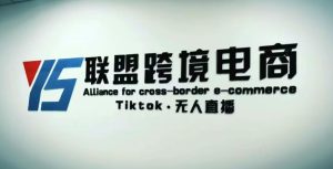 YS联盟·Tiktok无人直播,不出镜不剪辑不拍摄不发货无售后的跨境短视频躺赚玩法-网赚36计