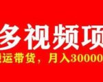 多多带货视频快速50爆款拿带货资格，搬运带货，月入30000【全套脚本+详细玩法】-网赚36计