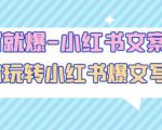 一写就爆-小红书文案课：带你玩转小红收爆文写作（45节课）-网赚36计