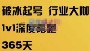 珍妮·短视频直播（定制）线上陪跑，平台逻辑及赛道选择、短视频数据分析技巧、直播三大核心等-网赚36计