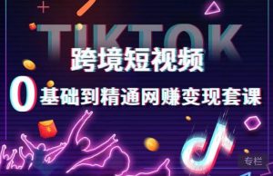 跨境短视频TIKTOK 0基础到精通网赚变现套课，跨境短视频独立站带货变现技巧-网赚36计