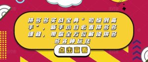 拼多多实战宝典“初级到高手”，新手小白必看拼多多课程，带你全方位解读拼多多各种玩法-网赚36计