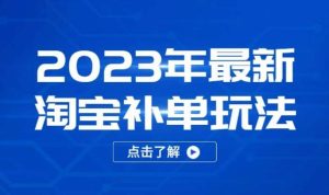 2023年最新淘宝补单玩法，18节课让教你快速起新品，安全不降权-网赚36计