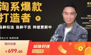 锋投老叶全店动销，淘系干货汇总，各种玩法，淘系爆款打造者-网赚36计