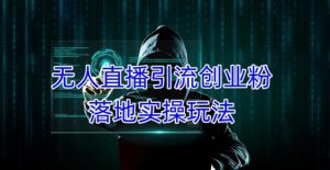 外面收费3980的无人直播引流创业粉落地实操玩法，单日引100+精准创业粉-网赚36计