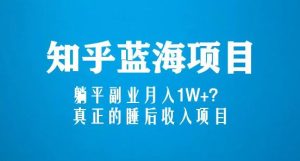 知乎蓝海玩法，躺平副业月入1W+，真正的睡后收入项目（6节视频课）-网赚36计