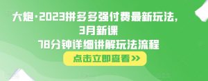 大炮·2023拼多多强付费最新玩法，3月新课​78分钟详细讲解玩法流程-网赚36计