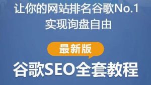 谷歌SEO实战教程：如何让你的网站在谷歌排名第一，内容从入门到高阶，适合个人及团队-网赚36计