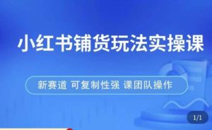 小红书铺货玩法实操课,流量大,竞争小,非常好做,新赛道,可复制性强,可团队操作-网赚36计