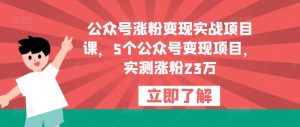 公众号涨粉变现实战项目课，5个公众号变现项目，实测涨粉23万-网赚36计