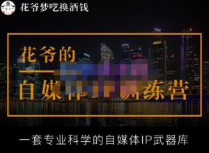 花爷的自媒体IP训练营【14期】,一套专业科学的自媒体IP武器库(更新2023年3月)-网赚36计
