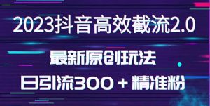 日引300＋创业粉，独家抖音高效截流2.0玩法（价值1280）-网赚36计