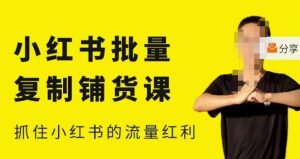 张宾·小红书批量复制铺货课,小红书0-1快速起号变现玩法,抓住小红书的流量红利(更新2023年3月)-网赚36计