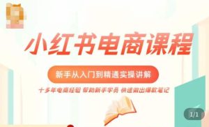 小红书电商新手入门到精通实操课，从入门到精通做爆款笔记，开店运营-网赚36计
