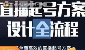 2023正价控流起号课，直播起号方案设计全流程，简单而高效的直播起号方案-网赚36计