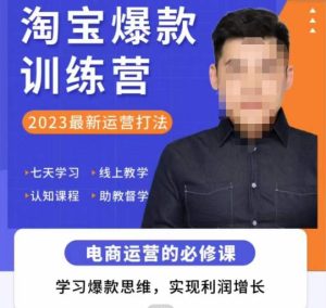 爱上黄昏·淘宝爆款训练营，2023最新运营打法，学习爆款思维，实现利润增长-网赚36计