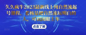 久久疯牛2023最新线上纯自然流起号课程，老杨是把自然流玩明白的人，可以闭眼上车-网赚36计