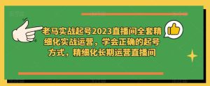 老马实战起号2023直播间全套精细化实战运营,学会正确的起号方式,精细化长期运营直播间-网赚36计