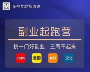 花爷-副业起跑营第2期，挑一门好副业，三周干起来（闲鱼｜小红书｜量化｜套利）-网赚36计