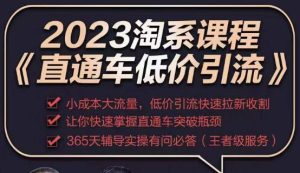 2023直通车低价引流玩法课程，小成本大流量，低价引流快速拉新收割，让你快速掌握直通车突破瓶颈-网赚36计