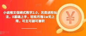 小说推文保姆式教学2.0，另类进阶玩法，0基础上手，轻松月撸1w无上限，可主可副可兼职-网赚36计
