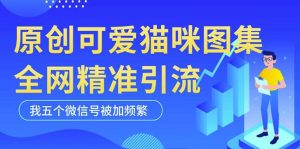 黑科技纯原创可爱猫咪图片，全网精准引流，实操5个VX号被加频繁-网赚36计