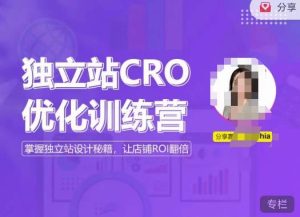 独立站CRO优化训练营,掌握独立站设计秘籍,打造高转化的独立站,让店铺ROI翻倍-网赚36计