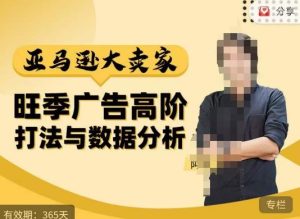阿甘·亚马逊大卖家广告高阶打法与数据分析，走出传统广告误区；揭秘大卖惯用打法；数据驱动广告决策-网赚36计