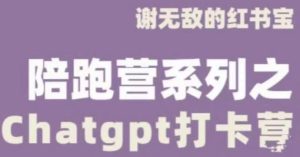 谢无敌ChatGPT打卡营，教你更好地使用ChatGPT来提高工作效率-网赚36计