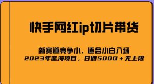 2023爆火的快手网红IP切片，号称日佣5000＋的蓝海项目，二驴的独家授权-网赚36计
