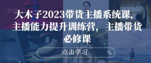 大木子2023带货主播系统课,主播能力提升训练营,主播带货必修课-网赚36计