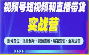 2023最新微信视频号引流和变现全套运营实战课程，小白也能玩转视频号短视频和直播运营-网赚36计