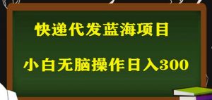 2023最新蓝海快递代发项目，小白零成本照抄也能日入300+-网赚36计