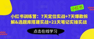 小红书训练营：7天定位实战+7天爆款拆解&选题库搭建实战+21天笔记实操实战-网赚36计